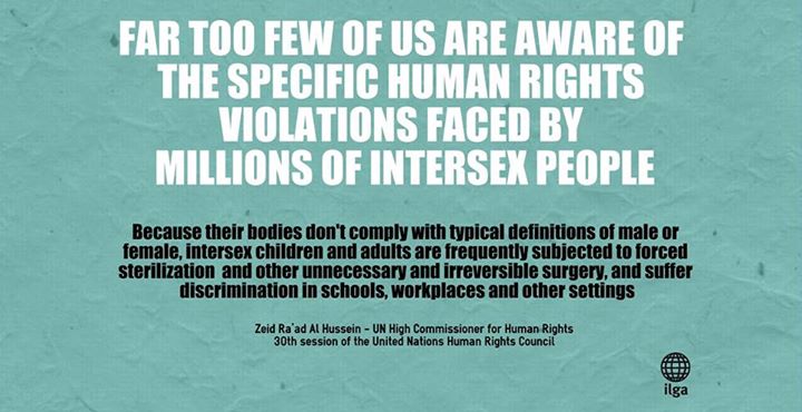 UN High Commissioner for Human Rights
